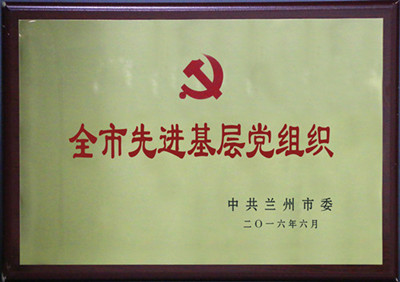 全市先进下层党组织-兰州新区AB娱乐集团门户网站