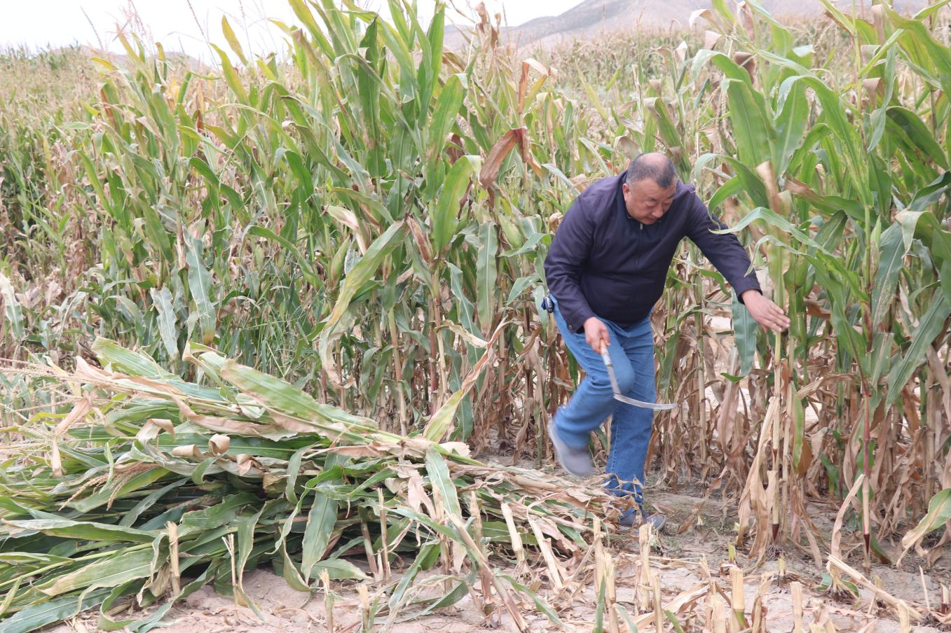 真情帮扶 自动出击 防止返贫-兰州新区AB娱乐集团门户网站