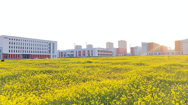 甘肃交通职业手艺学院兰州新区新校区项目顺遂通过完工验收-兰州新区AB娱乐集团门户网站