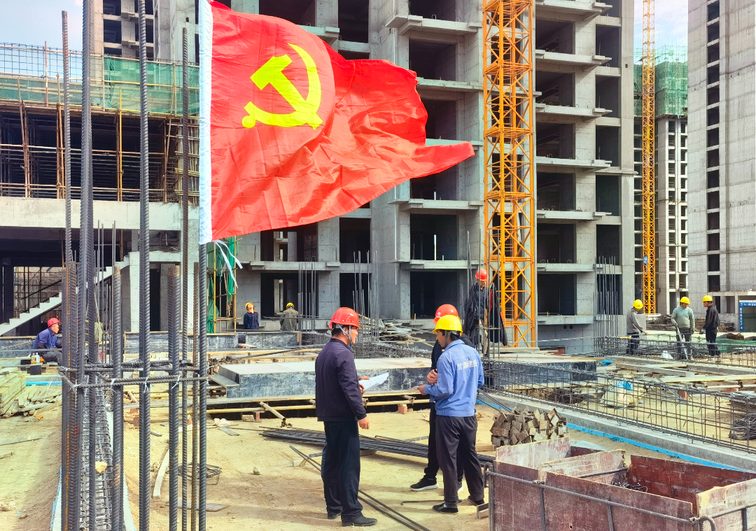 党建引领聚协力 项目建设添动力 | 新区AB娱乐集团党委以实干业绩为党旗增辉-兰州新区AB娱乐集团门户网站