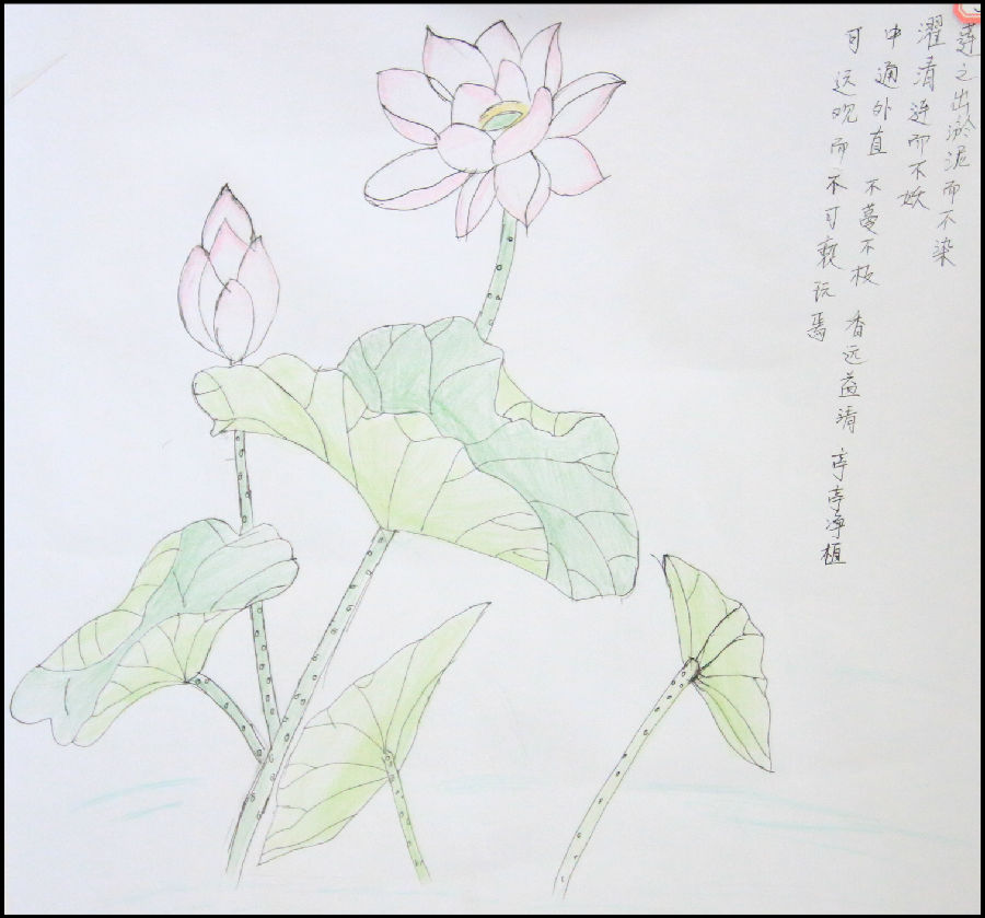 廉政漫画展-兰州新区AB娱乐集团门户网站