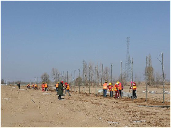 兰州新区纬六十三路主车道全线意会-兰州新区AB娱乐集团门户网站