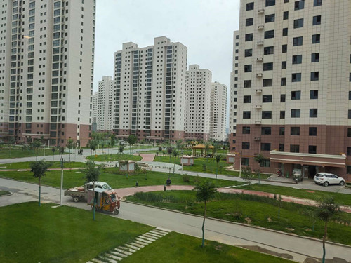 兰州新区宗家梁（棚改）安顿房项目景观绿化工程完工验收-兰州新区AB娱乐集团门户网站