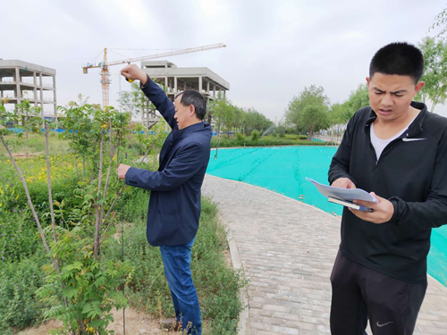 新区五条蹊径绿化项目完成实测实量-兰州新区AB娱乐集团门户网站