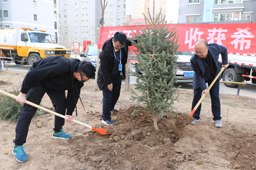 新区AB娱乐集团开展义务植树活动-兰州新区AB娱乐集团门户网站