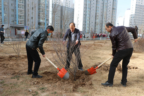 新区AB娱乐集团开展义务植树活动-兰州新区AB娱乐集团门户网站
