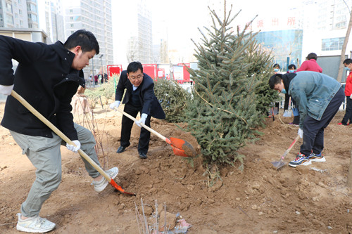 新区AB娱乐集团开展义务植树活动-兰州新区AB娱乐集团门户网站
