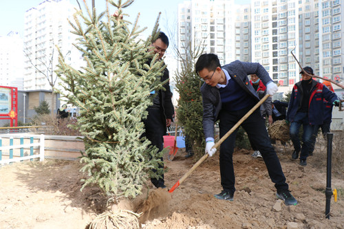 新区AB娱乐集团开展义务植树活动-兰州新区AB娱乐集团门户网站