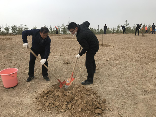 铁投公司党支部开展“热爱新区美化情形，，，，，，植树造林奉献实力 ”主题党日活动-兰州新区AB娱乐集团门户网站