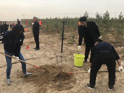 铁投公司党支部开展“热爱新区美化情形，，，，，，植树造林奉献实力 ”主题党日活动-兰州新区AB娱乐集团门户网站