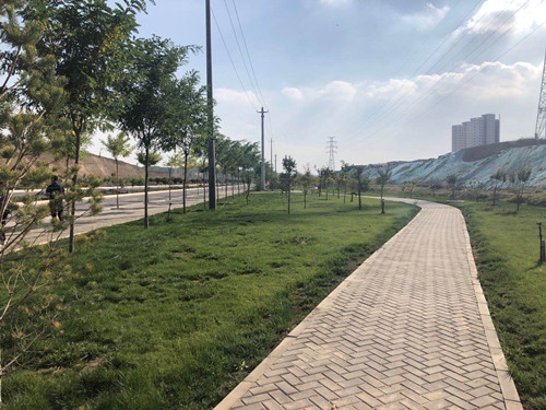 经十六路等14条蹊径绿化工程顺遂通过完工验收-兰州新区AB娱乐集团门户网站