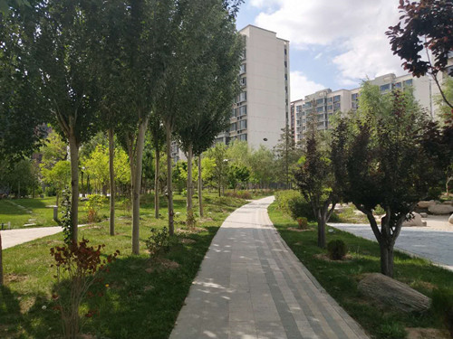 新区AB娱乐集团获评兰州新区卫生单位-兰州新区AB娱乐集团门户网站