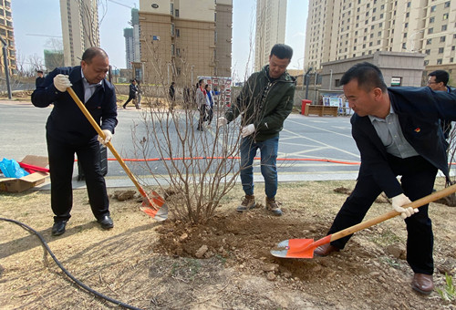 新区AB娱乐集团各党支部开展义务植树主题党日活动-兰州新区AB娱乐集团门户网站