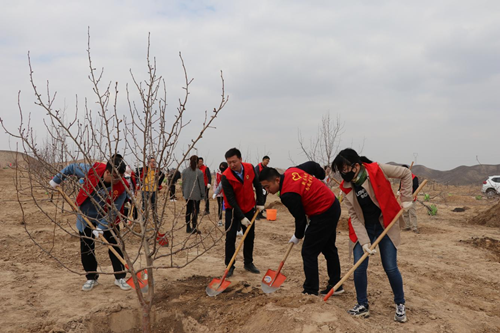 新区AB娱乐集团各党支部开展义务植树主题党日活动-兰州新区AB娱乐集团门户网站